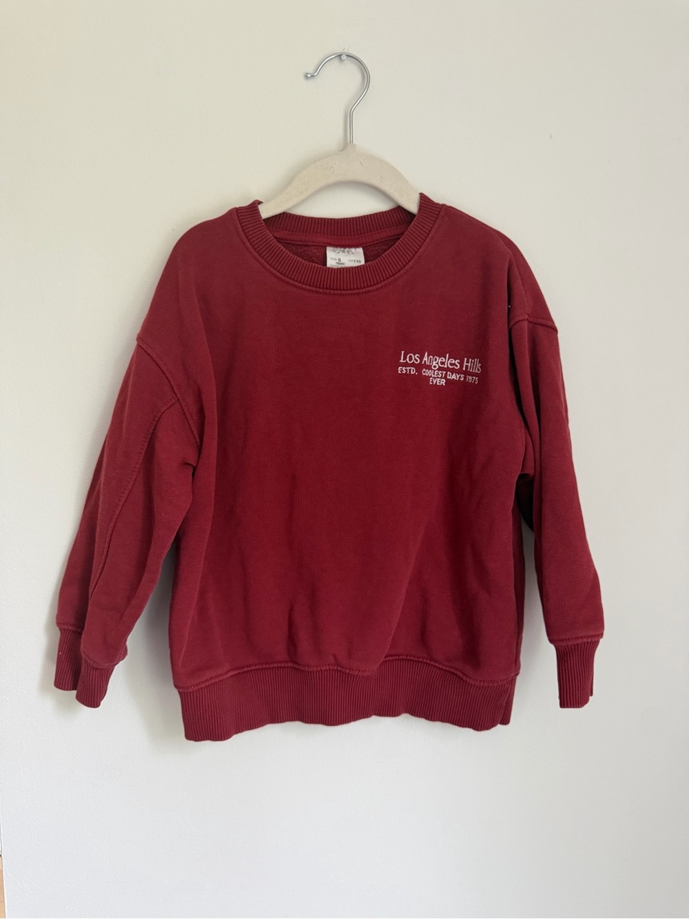 Zara Los Angeles Hills Crewneck Sweater (Size 5)